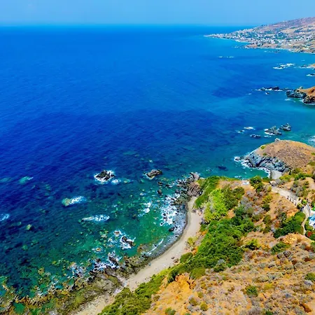 فيلة Panorama